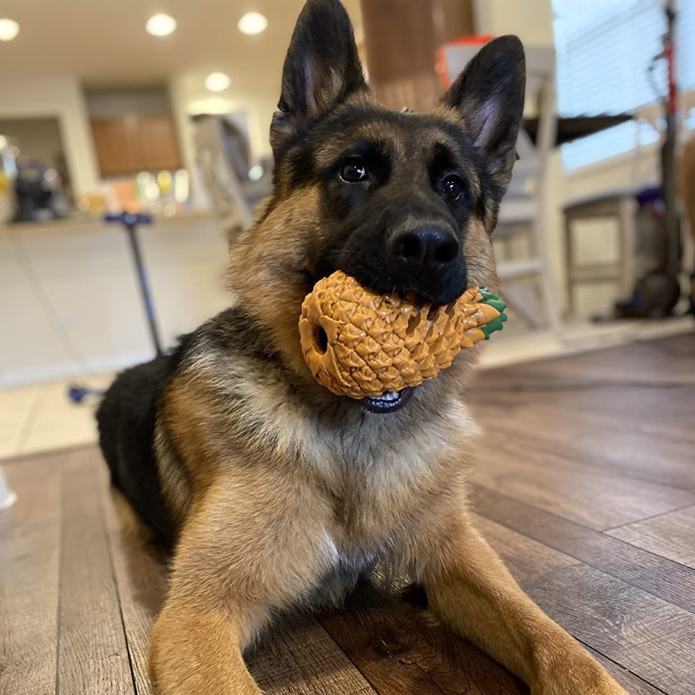 Heavy-duty rubber chew toy, pineapple-shaped, designed for long-lasting dog play