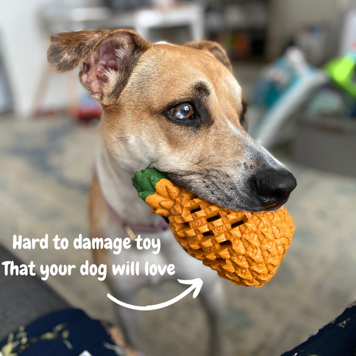Dental care dog toy and treat dispenser, pineapple design for engaged chewing