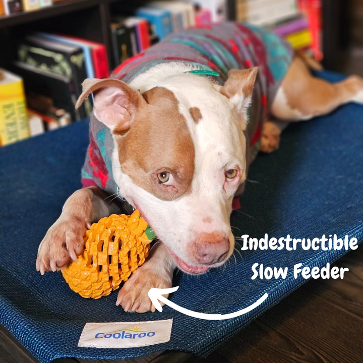 Pet supplies: pineapple treat toy, robust for strong chewers, aids in dog enrichment