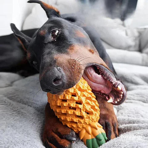 Engaging pineapple dog toy, doubles as a treat dispenser, durable rubber construction