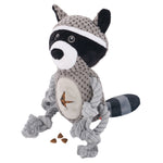 Raccoon