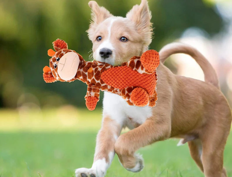 Close-up of a non-toxic plush squeaky dog toy, durable pet supplies for extended play