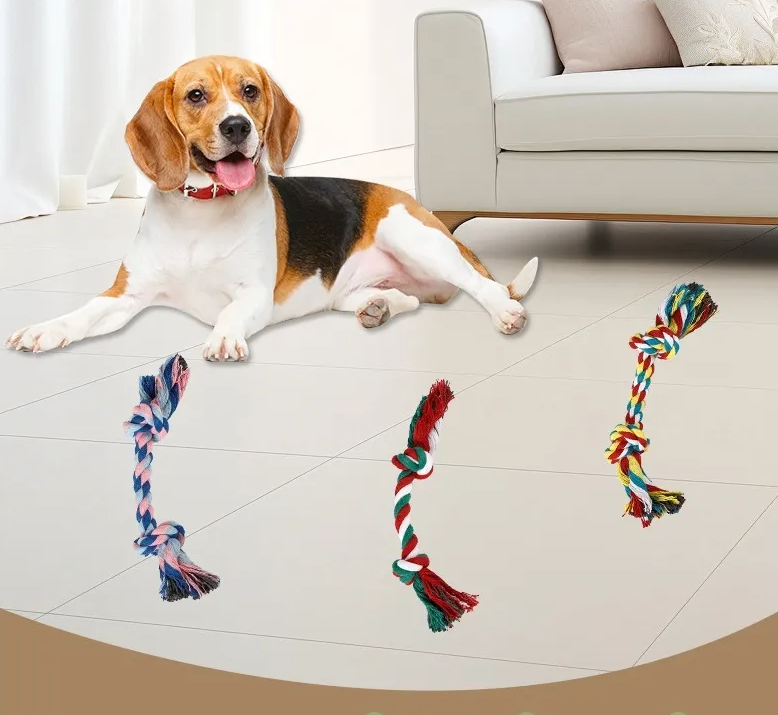 Durable red and blue cotton rope dog chew toy for dental fitness and puppy play