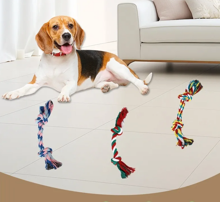 Durable red and blue cotton rope dog chew toy for dental fitness and puppy play