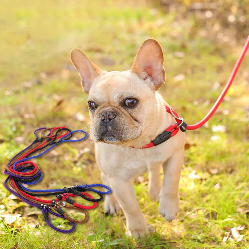 Durable red braided rope dog leash with secure silver snap hook for safe walking, pet accessory