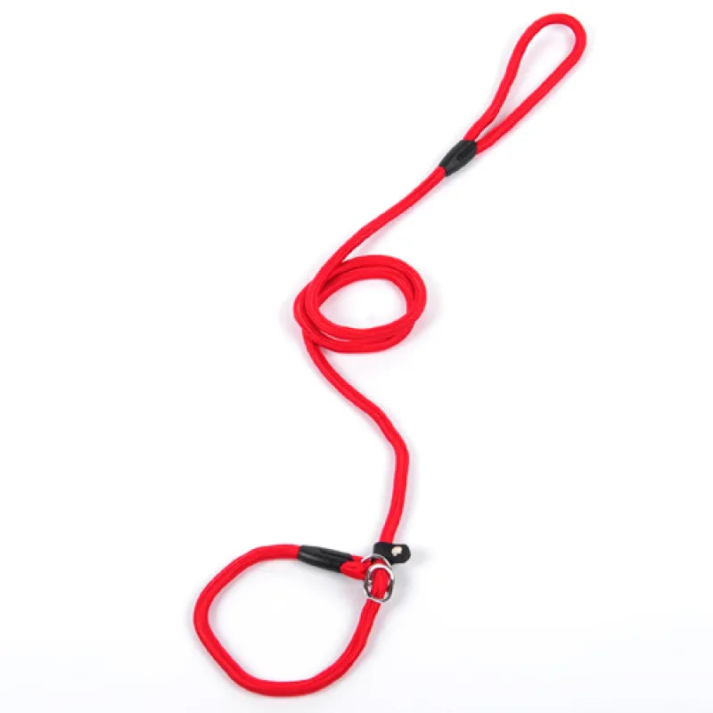 Pet owner's hand holding a strong nylon rope dog leash with a reliable snap hook, outdoor pet gear