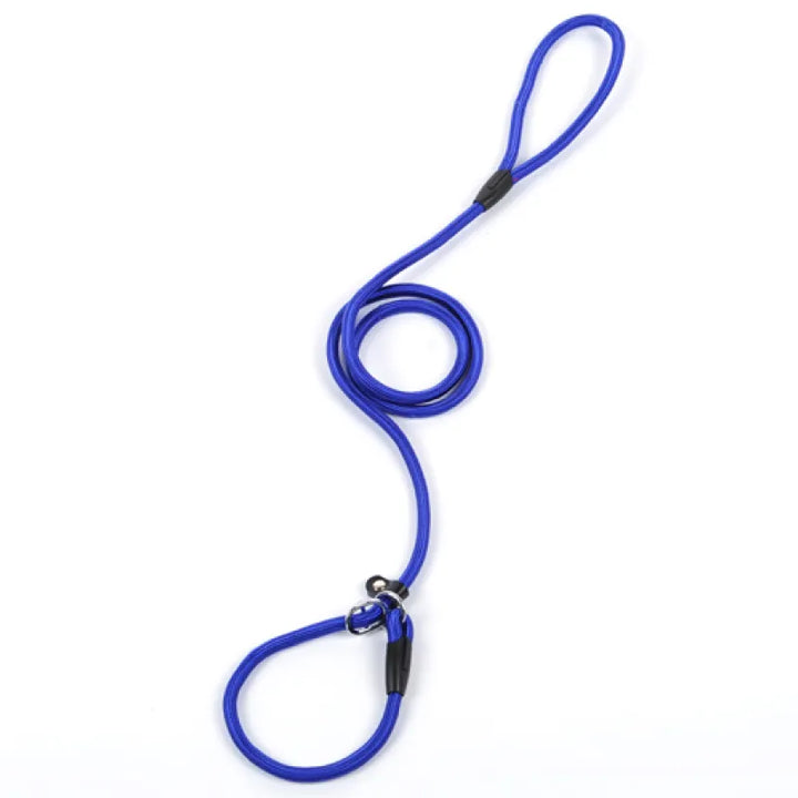 Close-up of the durable construction of a multicolor rope dog leash, built for daily pet use