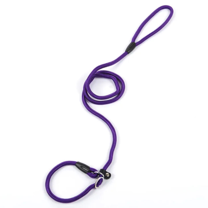 Stylish and durable rope dog leash with a comfortable loop handle and secure metal snap hook