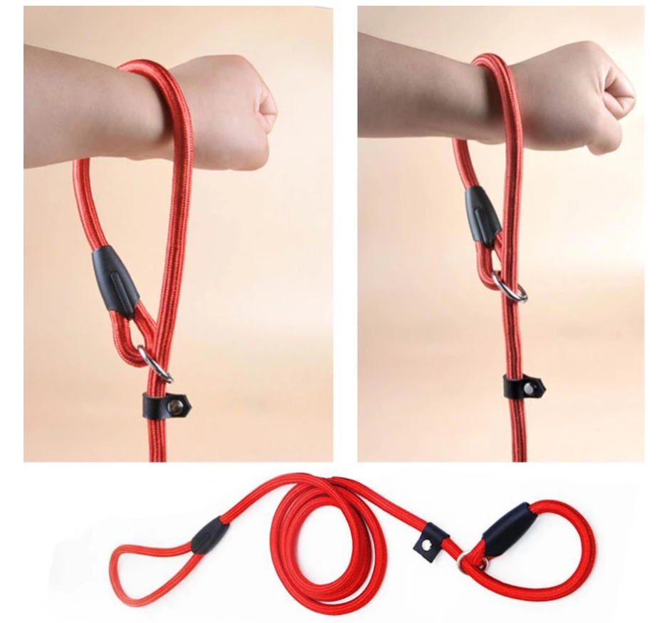 Strong blue rope dog leash with comfortable handle and robust snap hook for outdoor pet activities