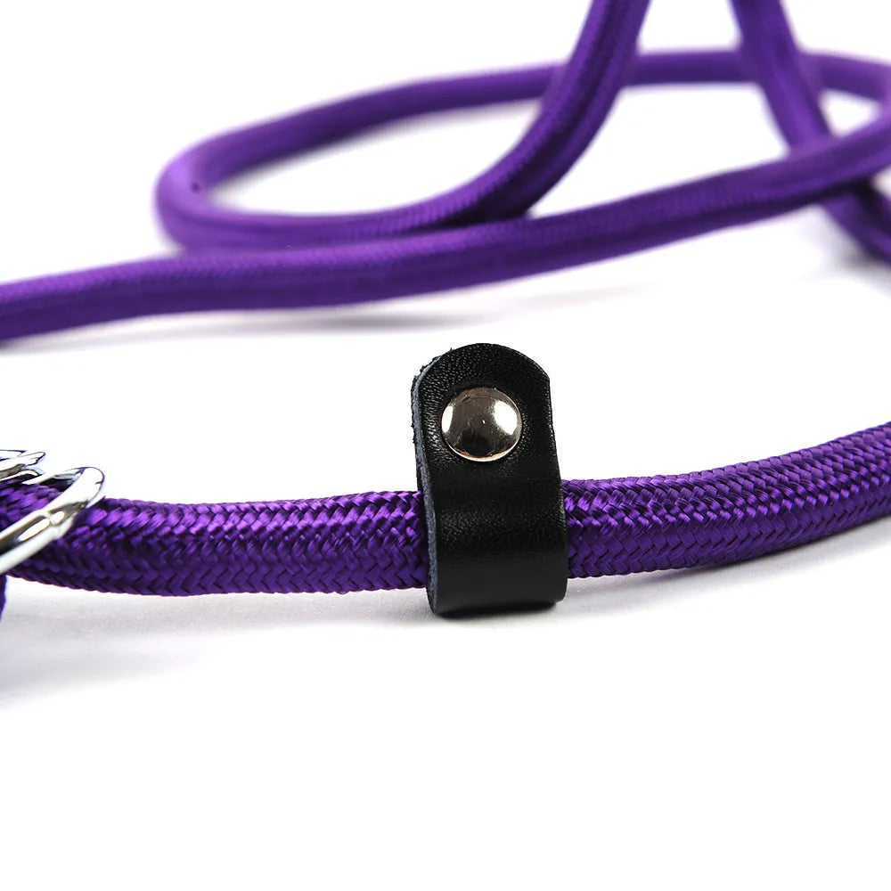 Braided purple rope dog leash paired with a matching pet harness, perfect for dog walking