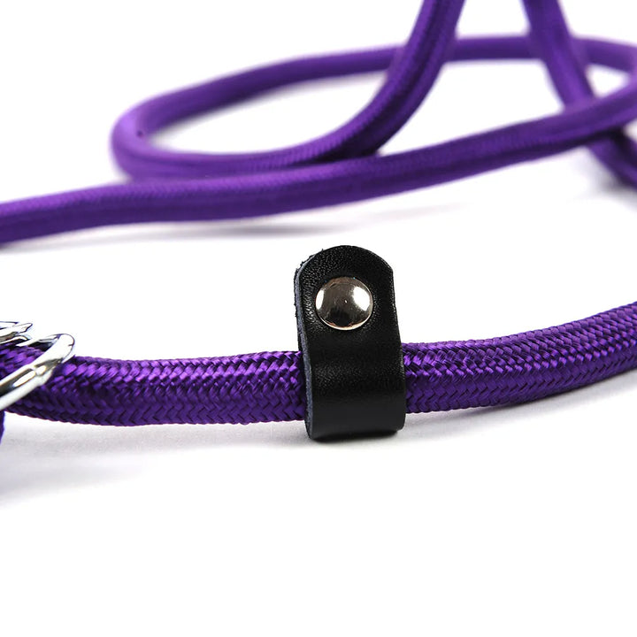 Braided purple rope dog leash paired with a matching pet harness, perfect for dog walking