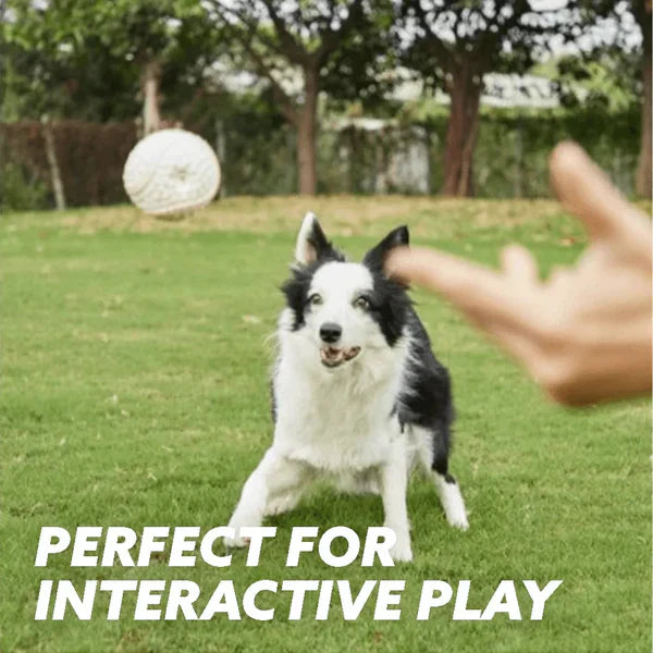 Heavy-duty dog toy, red chew ball, non-toxic, suitable for powerful jaws