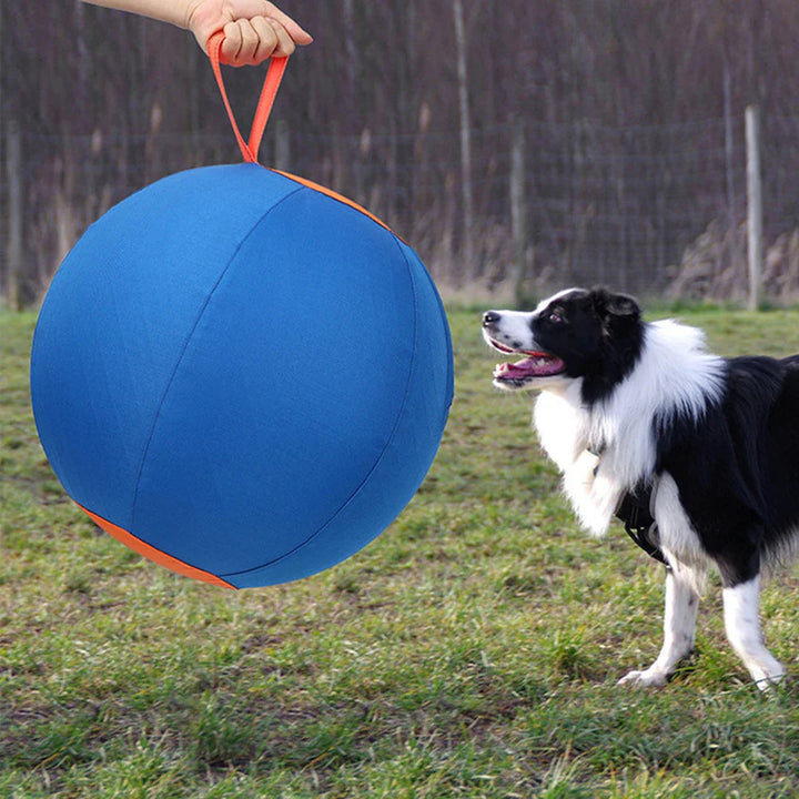 Active dog fetches a durable blue inflatable toy ball with pump, ideal for outdoor play.