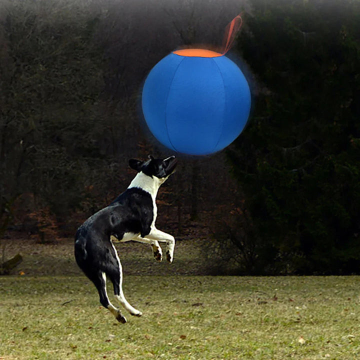 Close-up of a sturdy polyester inflatable dog toy ball, with pump, designed for rigorous outdoor use.