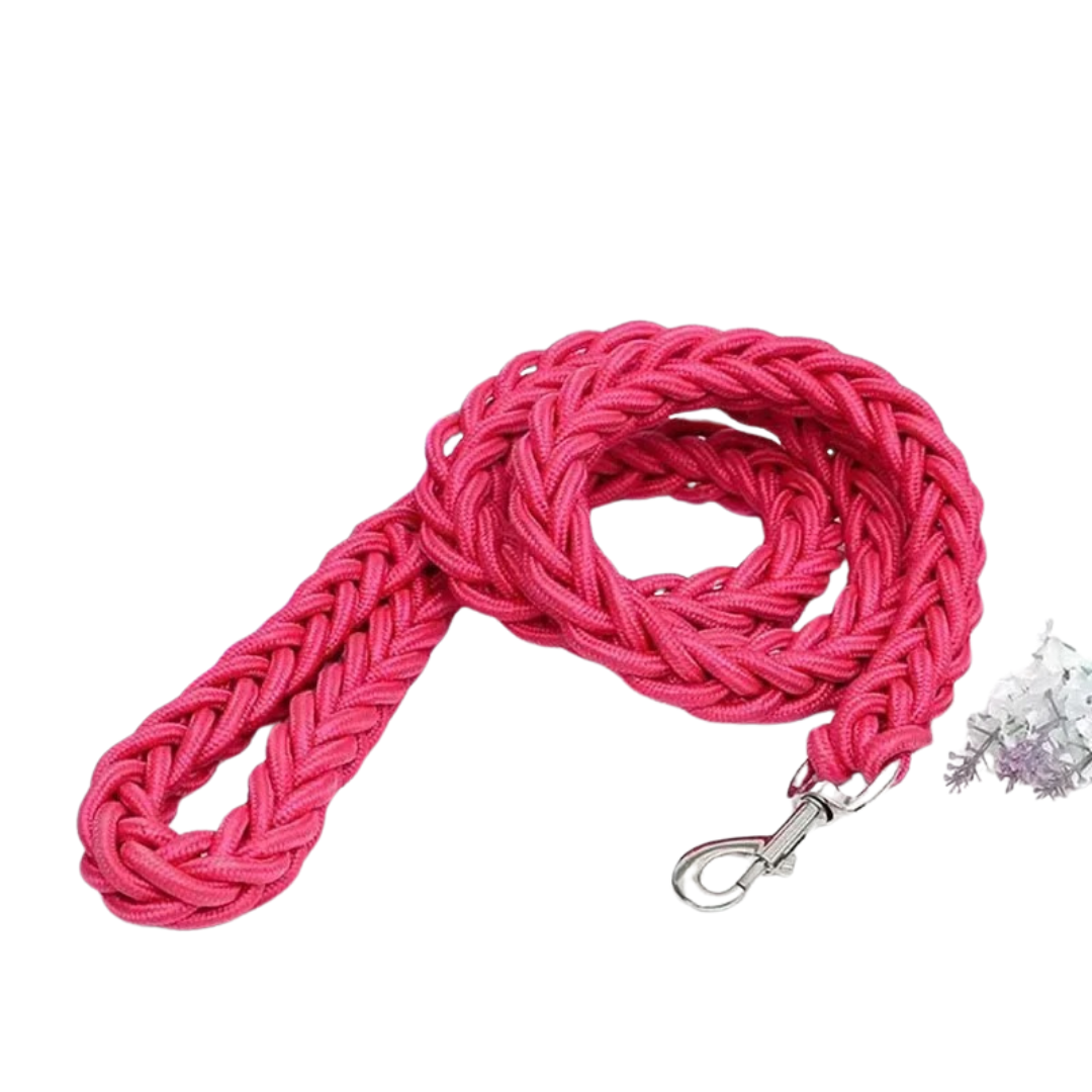 Set of assorted color durable nylon dog leashes for medium to large dog training.