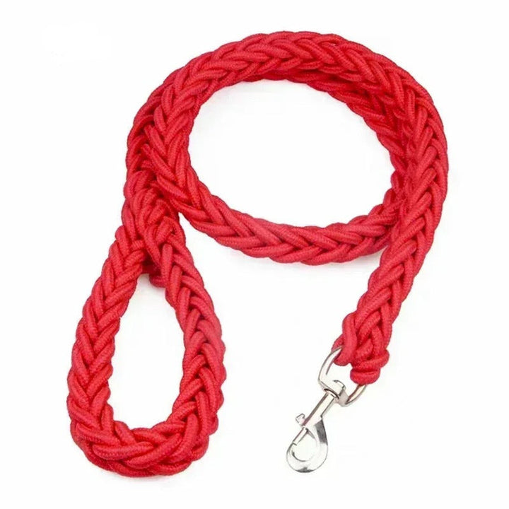 Durable pink nylon dog leash, strong and fashionable for active medium to large dogs.