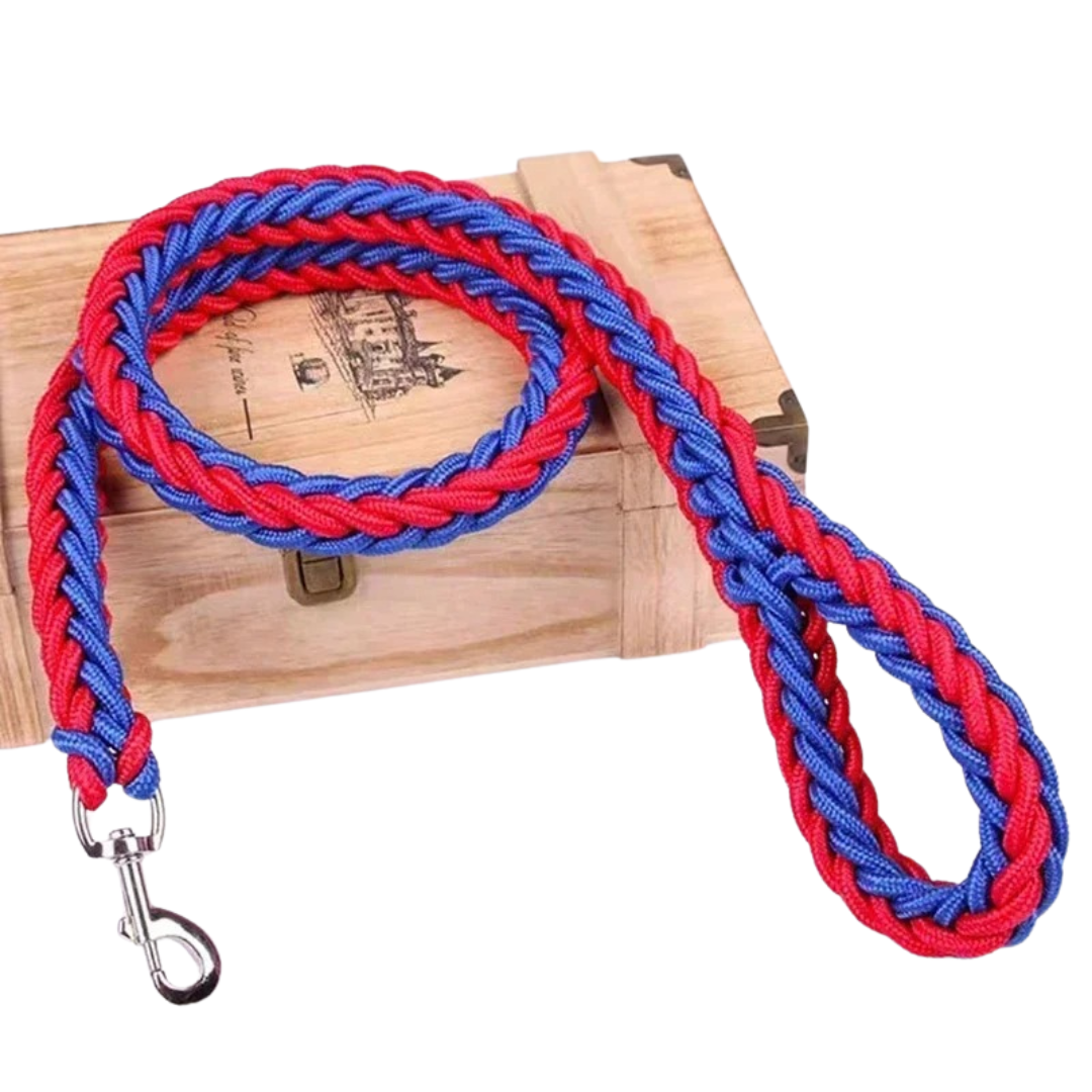 Black nylon dog leash showing its reinforced stitching for maximum pet control.