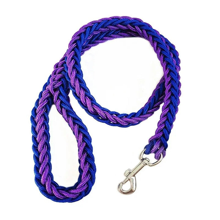 Outdoor scene: medium dog on a durable red nylon leash exploring, dog walking.