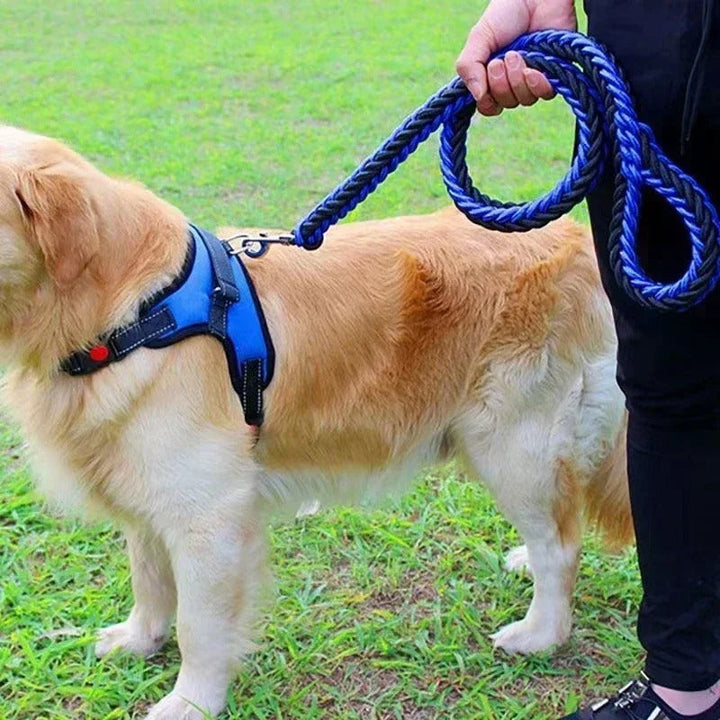 Unisex black nylon dog leash with heavy-duty clip for secure walks with large active dogs.