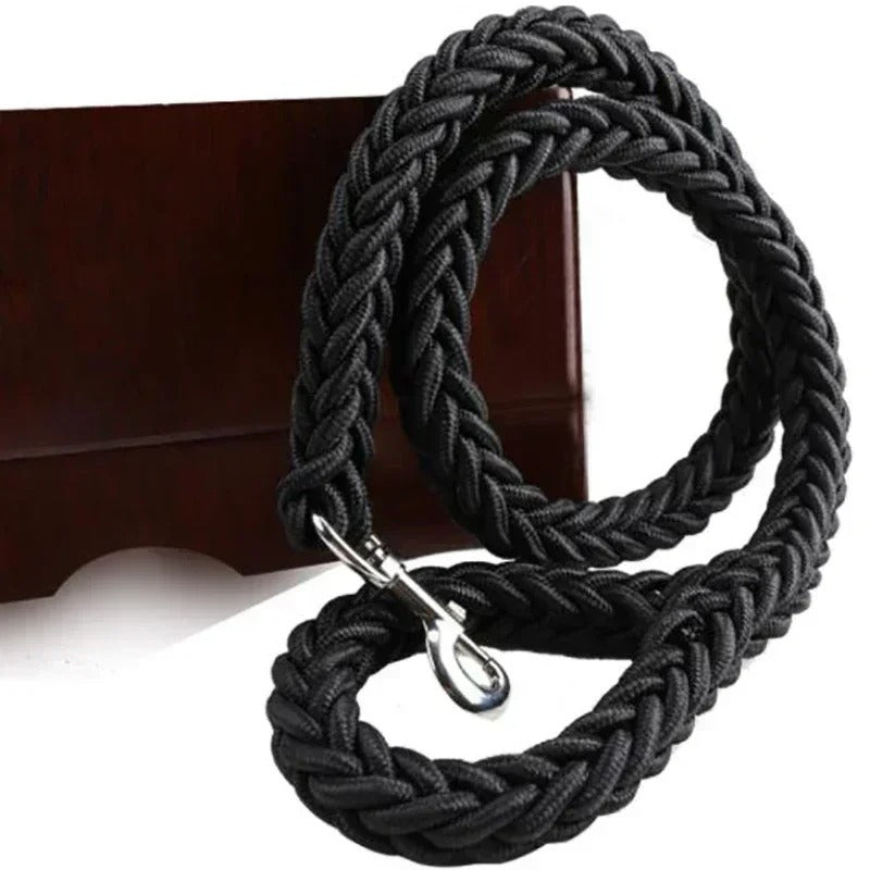 Green durable nylon dog leash designed for training and daily walks with large dogs.