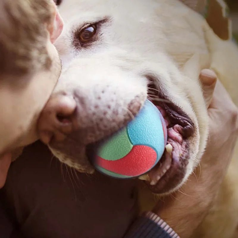 Yellow durable canine ball, an interactive pet training aid and dental chew toy