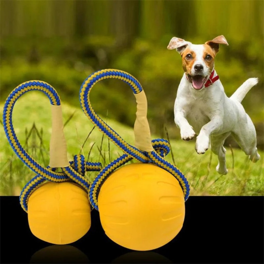 Aggressive chewer dog toy: textured rubber ball, non-toxic, designed for long-lasting play and strong jaws.