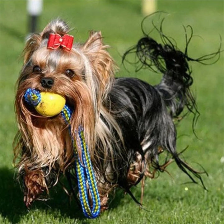 Close-up of a virtually indestructible rubber chew ball, ideal for aggressive chewers and interactive dog play.