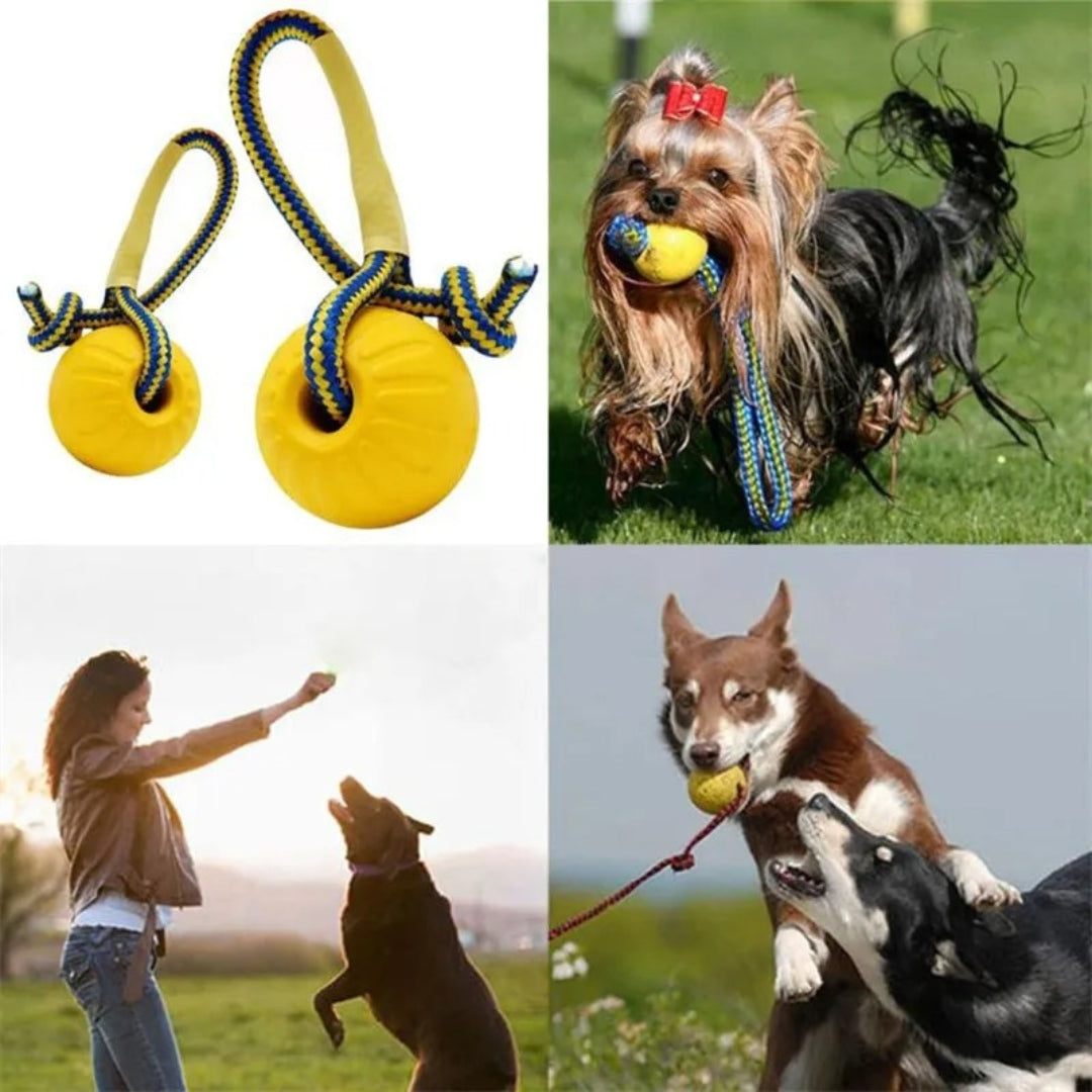 High-quality, non-toxic rubber chew ball for dogs, built to withstand aggressive chewing and active play sessions.