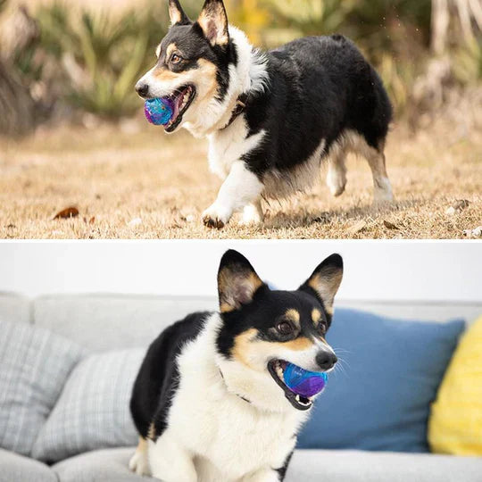 Blue durable dog chew ball with textured surface for dental cleaning and puppy play