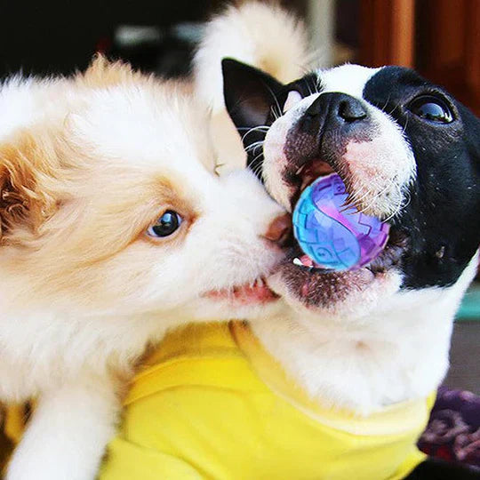Close-up of green tough dog chew ball, promoting dental health and interactive dog toys