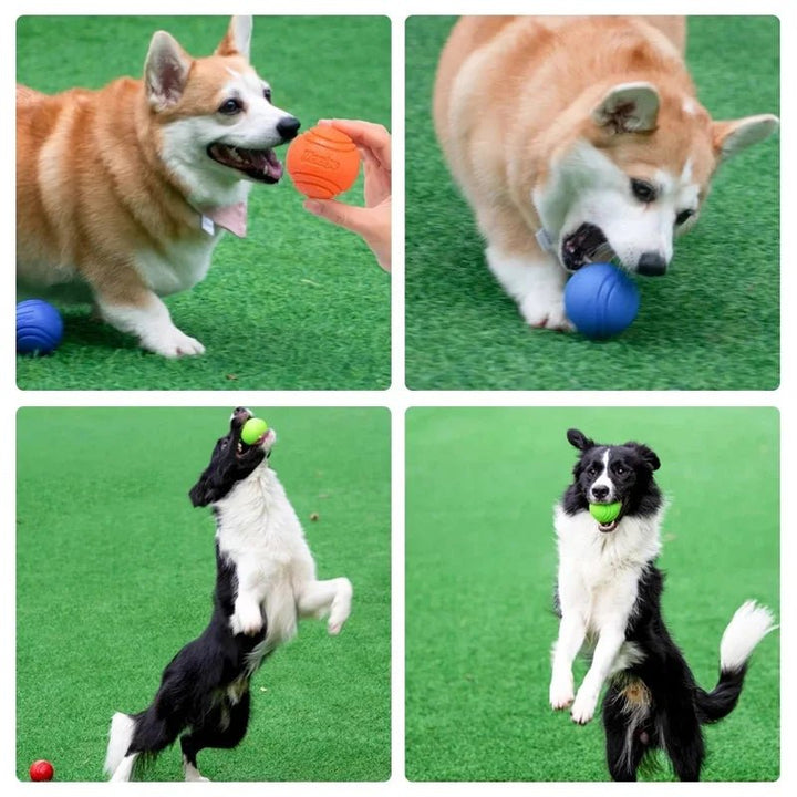 Orange rubber dog chew ball, durable and bouncy for active dogs, doubles as dental and fetch toy.