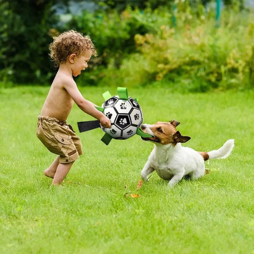 Interactive chew toy: brightly colored, tough rubber dog ball designed for medium to large dogs.