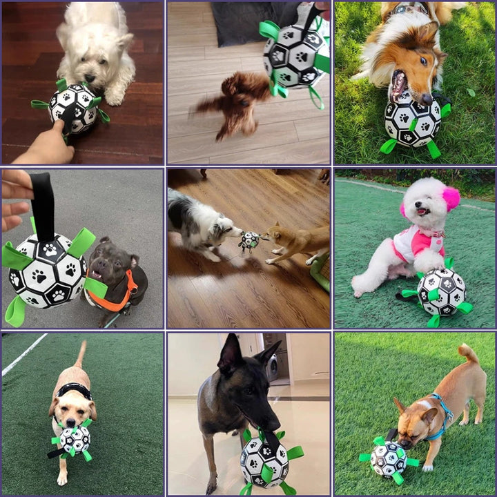 Pet supplies: textured rubber fetch ball provides dental benefits and interactive fun for dogs.