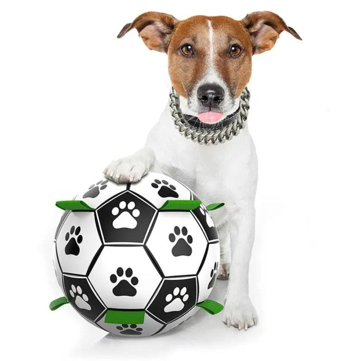 Outdoor play dog toy: resilient rubber fetch ball, promoting exercise and engagement for pets.