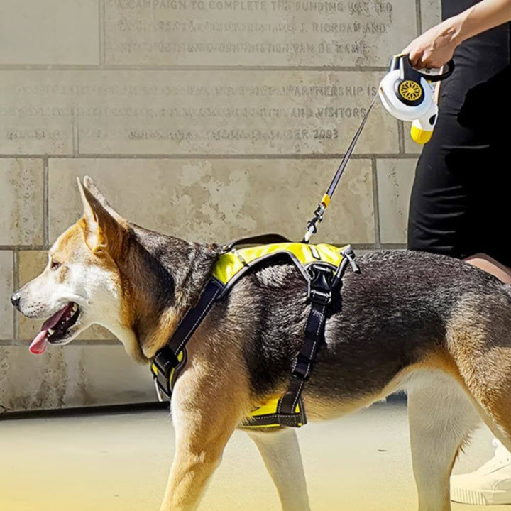 Durable retractable dog leash for medium to large pets, perfect for dog walking and pet safety.