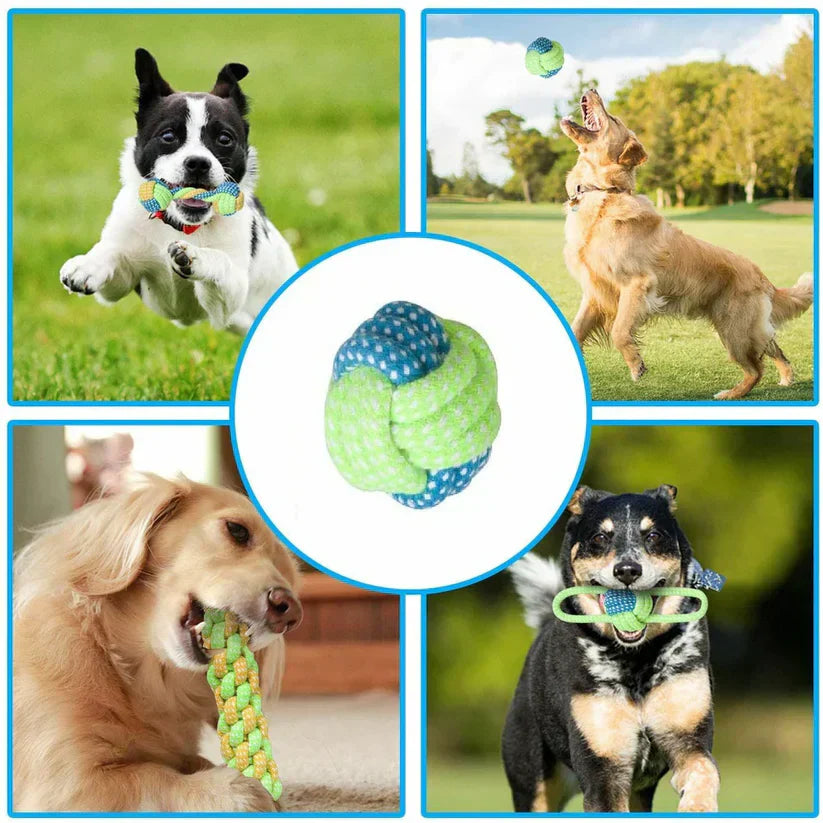 Durable Rope Chew Toy for Dogs, multicolored intertwined cotton ropes, promoting dental health