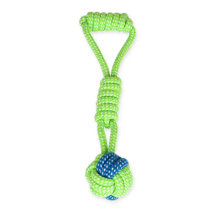 Golden retriever happily playing with a sturdy Rope Chew Toy, promoting dental health