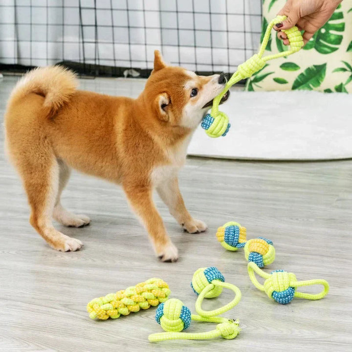 Still life of a new Rope Chew Toy for Dogs, ready for endless hours of pet entertainment