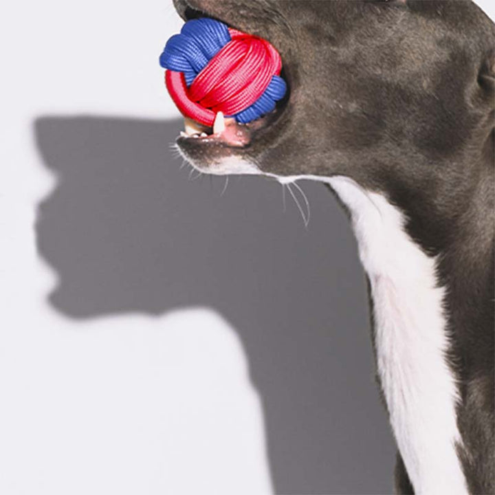 Close-up of vibrant blue and yellow dog knots ball chew toy for fetch and dental health