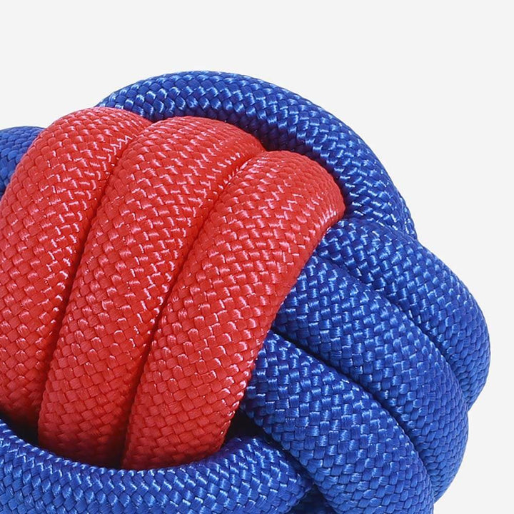 Happy dog playing fetch with a sturdy rope knots ball toy, perfect for outdoor fun