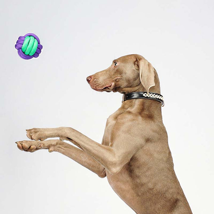 Dog knots ball throwing toy with braided rope, excellent for teeth cleaning and gum massage