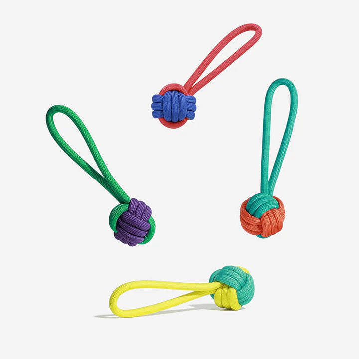 Aggressive chewer dog toy, multi-color braided rope with loop handle, interactive playtime