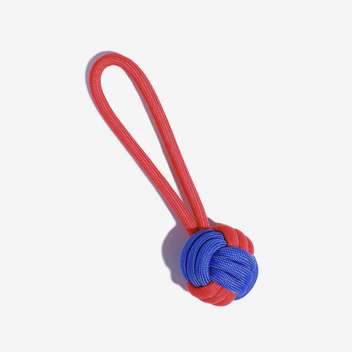 Pet supplies: tough rope tug toy, ideal for aggressive chewers, in a natural outdoor setting