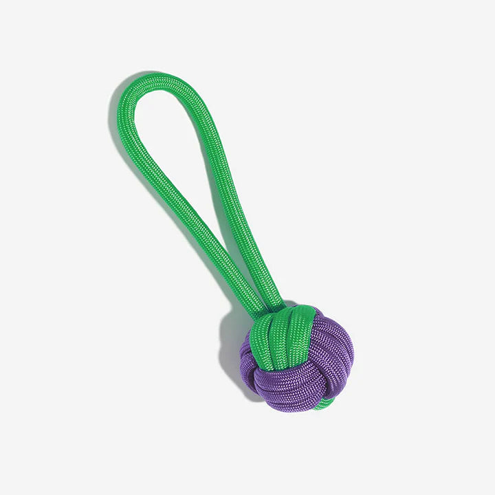Braided rope dog toy for tough chewers, red and blue, with a dog happily playing tug-of-war