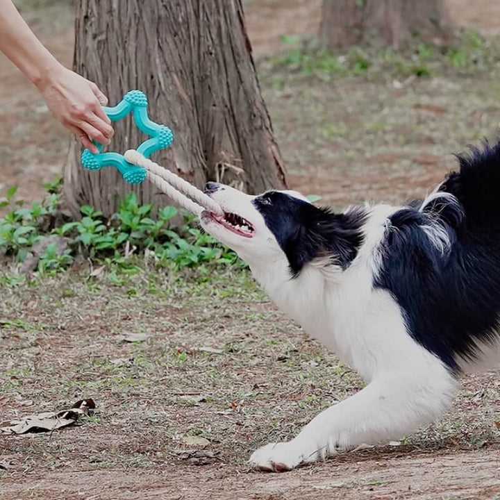 Durable rubber interactive dog chew toy for teeth cleaning and play