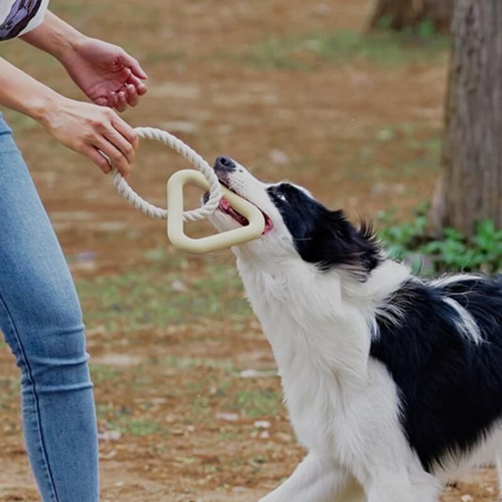 Interactive dog tug toy made of tough rubber for aggressive chewers