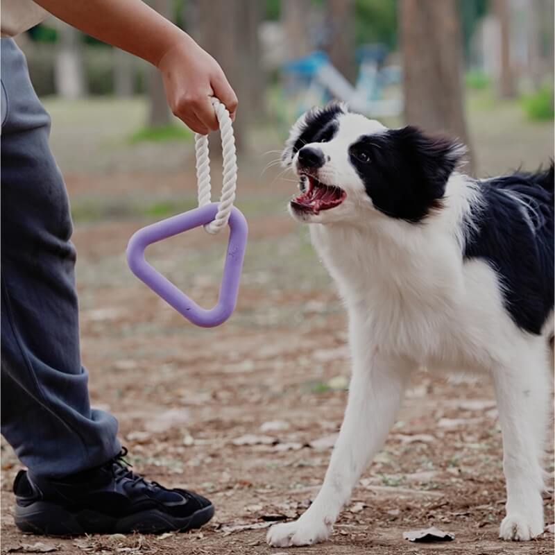 Close-up of a dog chew toy showing textured nubs for teeth cleaning