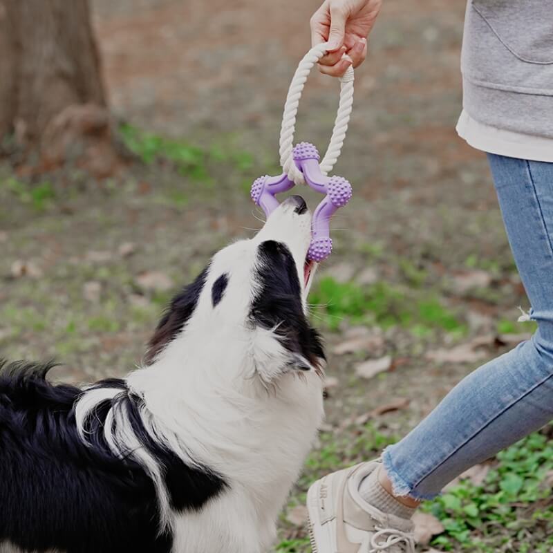 Yellow rubber dog toy with rope for interactive play and dental health