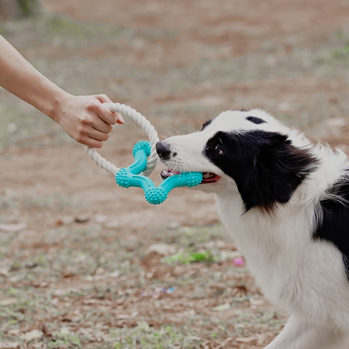 Multi-color interactive dog toy, perfect for chewers and dental cleaning
