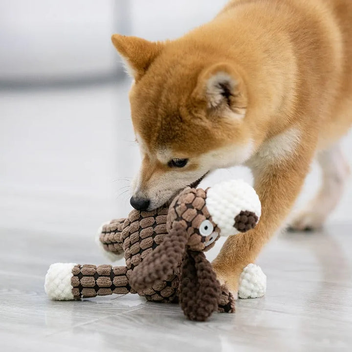 Squeaker plush dog toy, 'Immortal' tough construction for aggressive chewers